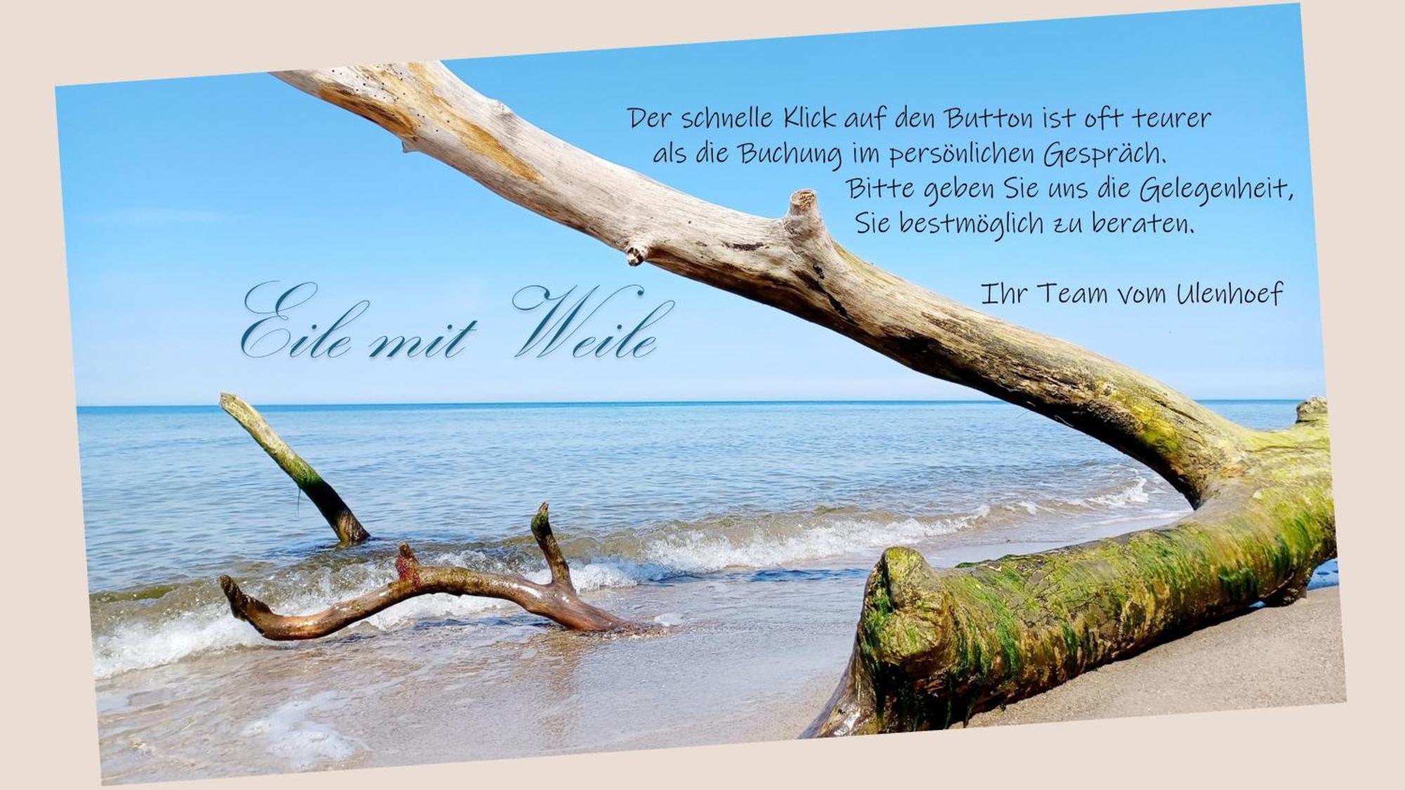 FeWo Käuzchen - Ulenhoef Prerow Exterior foto