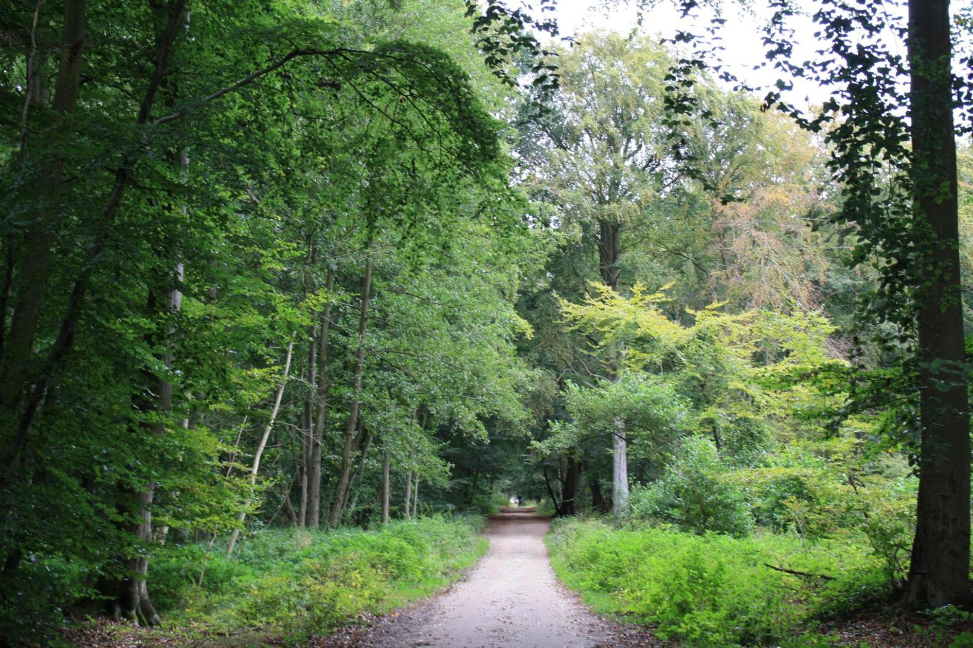 FeWo Käuzchen - Ulenhoef Prerow Exterior foto